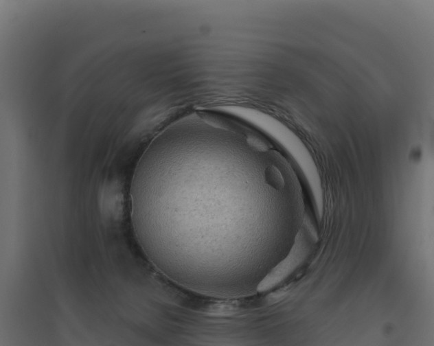 X0000094770080200711241326