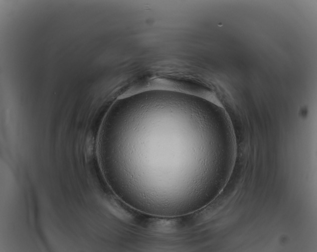 X0000094770081200711241326