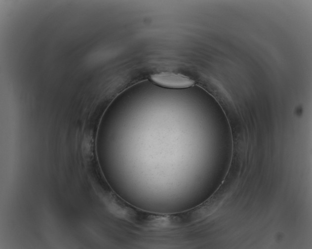 X0000094770083200711241326