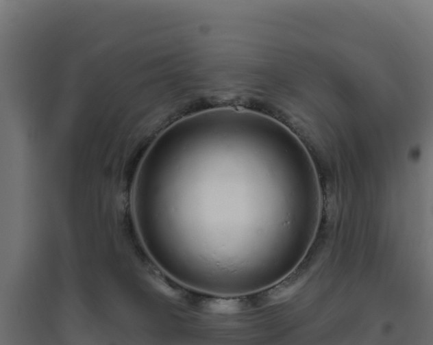 X0000094770085200711241326