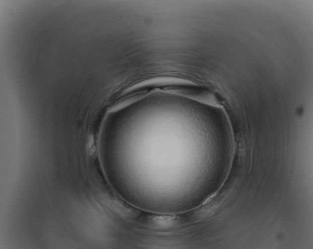 X0000094770089200711241326