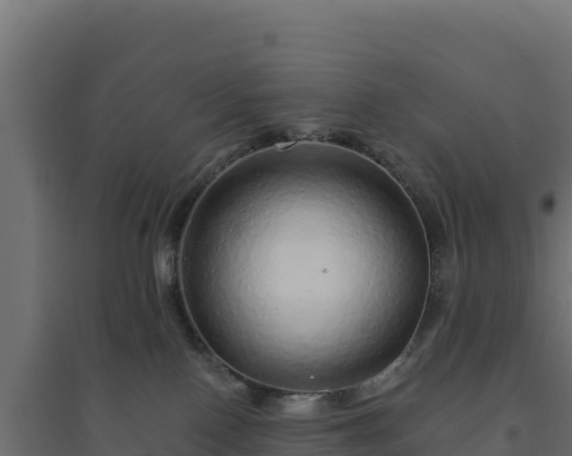 X0000094770090200711241326