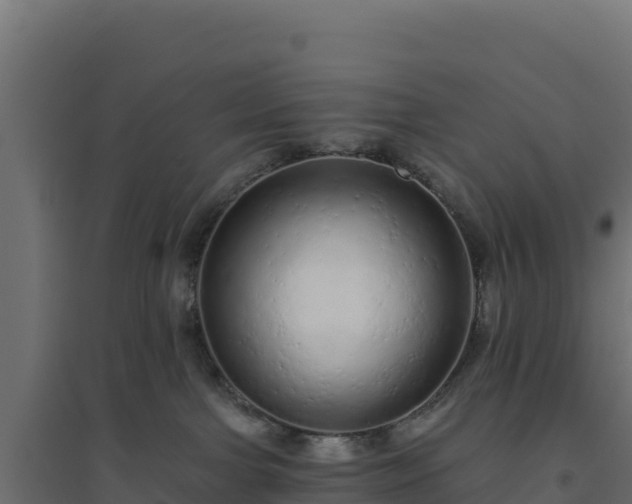 X0000094770091200711241326