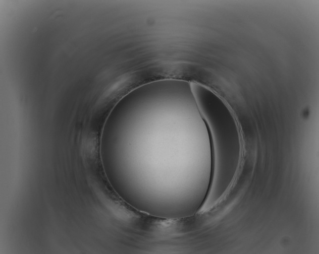 X0000094770092200711241326