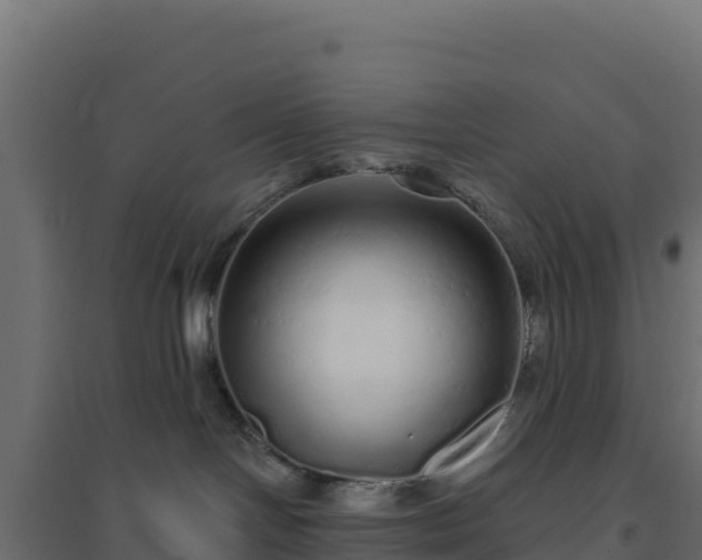 X0000094770094200711241326