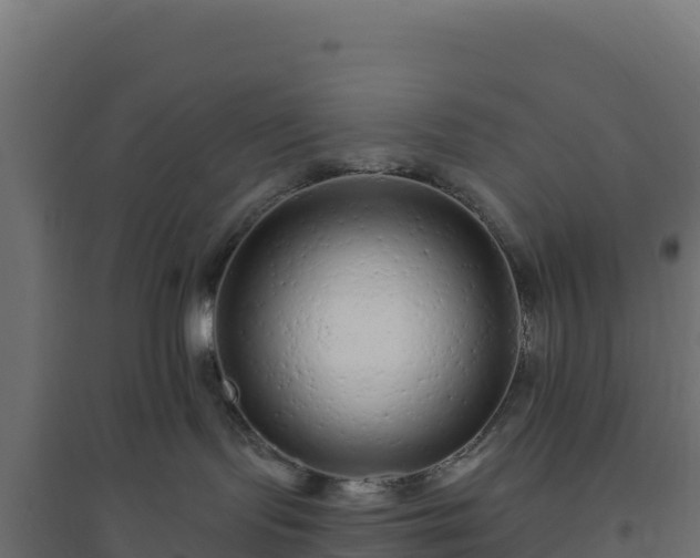 X0000094770095200711241326