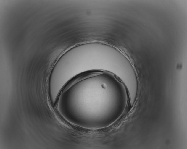 X0000094770097200711241326