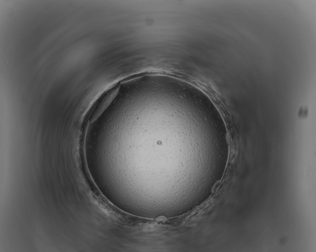 X0000094770098200711241326