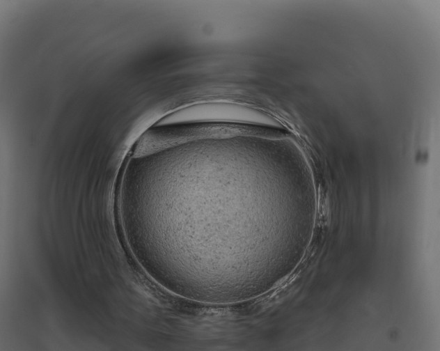 X0000094770099200711241326