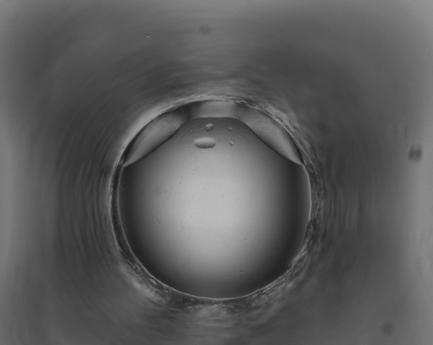 X0000094770100200711241326