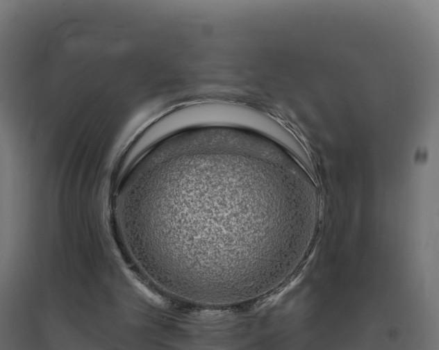 X0000094770101200711241326