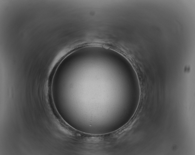 X0000094770102200711241326