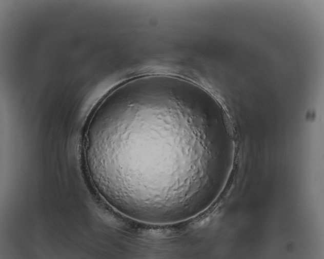 X0000094770103200711241326