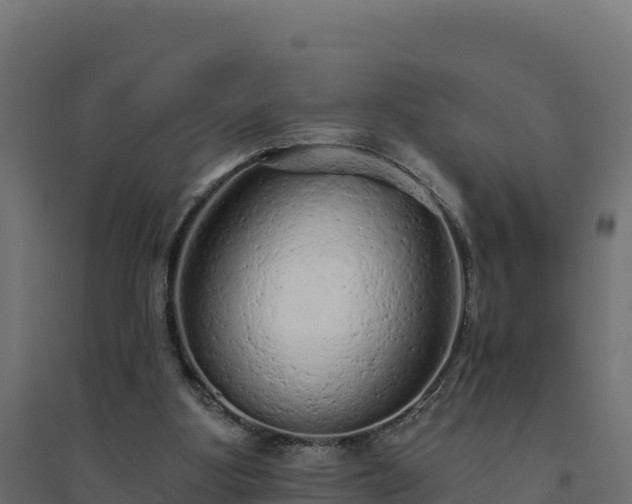 X0000094770107200711241326