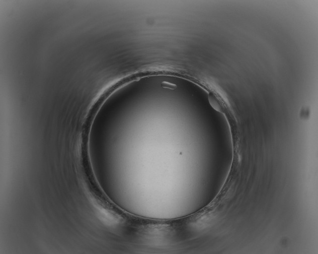 X0000094770108200711241326