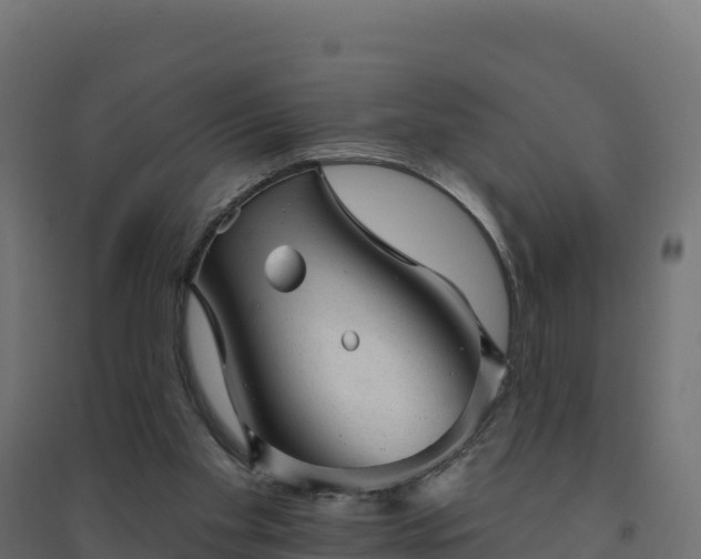 X0000094770109200711241326