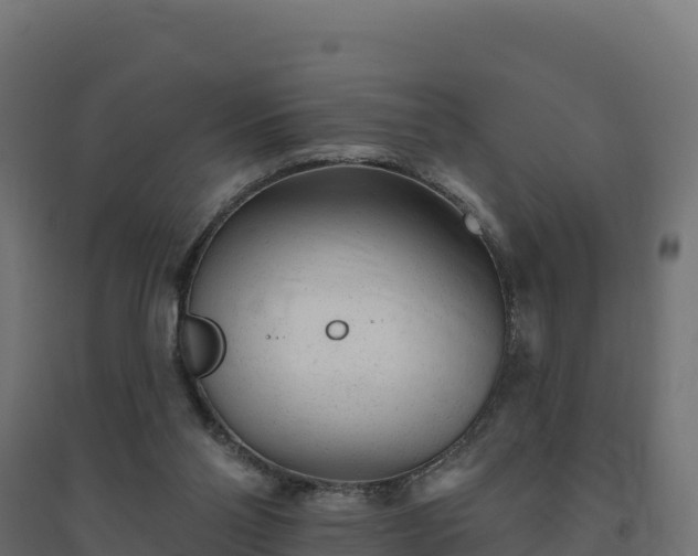 X0000094770110200711241326