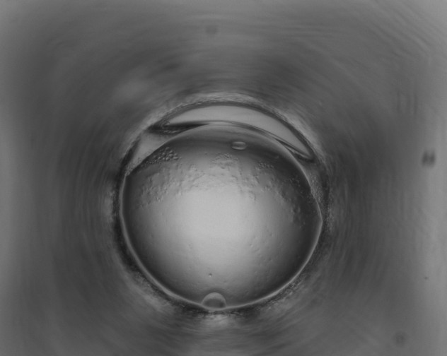 X0000094770111200711241326