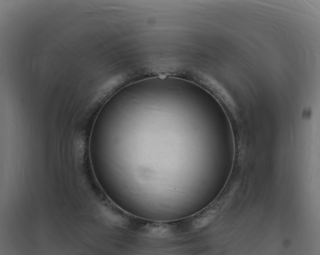 X0000094770113200711241325