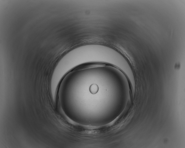 X0000094770117200711241325