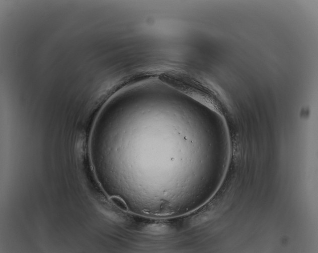 X0000094770119200711241325