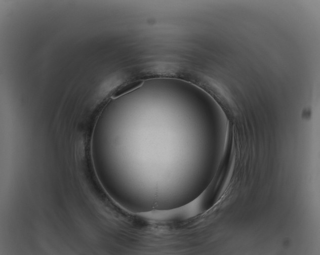 X0000094770120200711241325