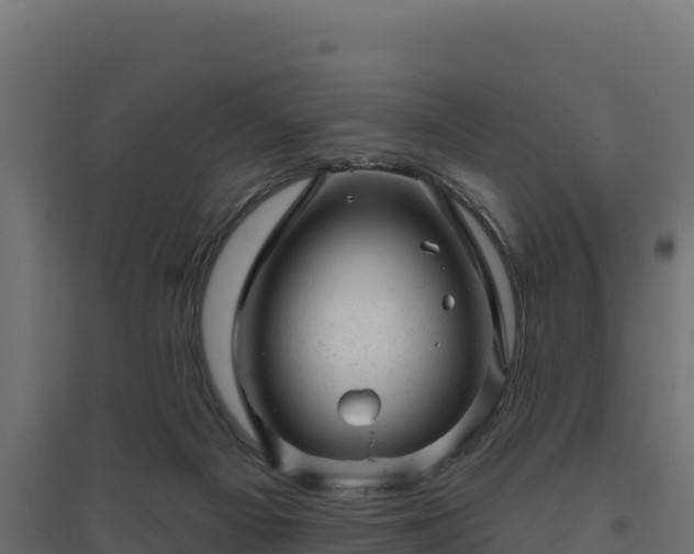 X0000094770121200711241325