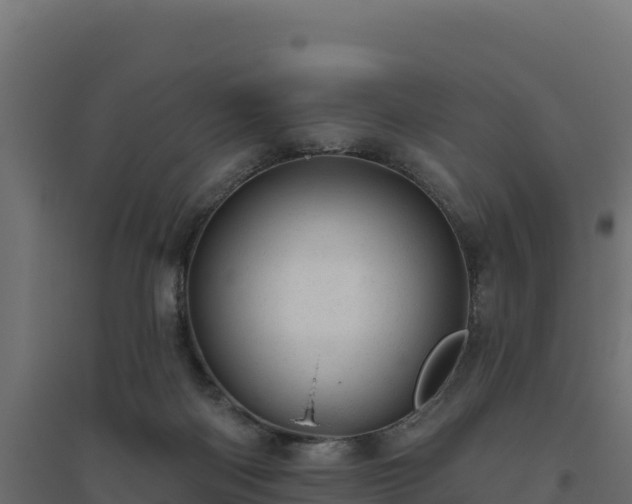 X0000094770122200711241325