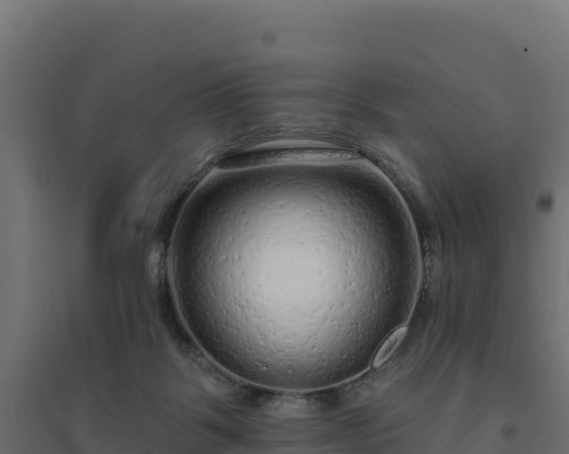 X0000094770123200711241325