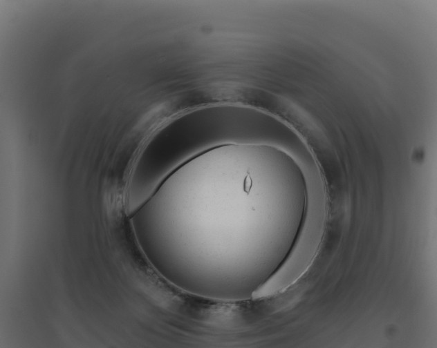 X0000094770124200711241325