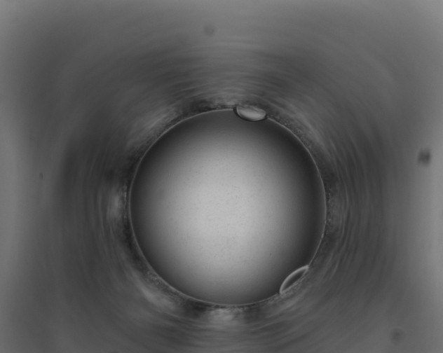 X0000094770126200711241325