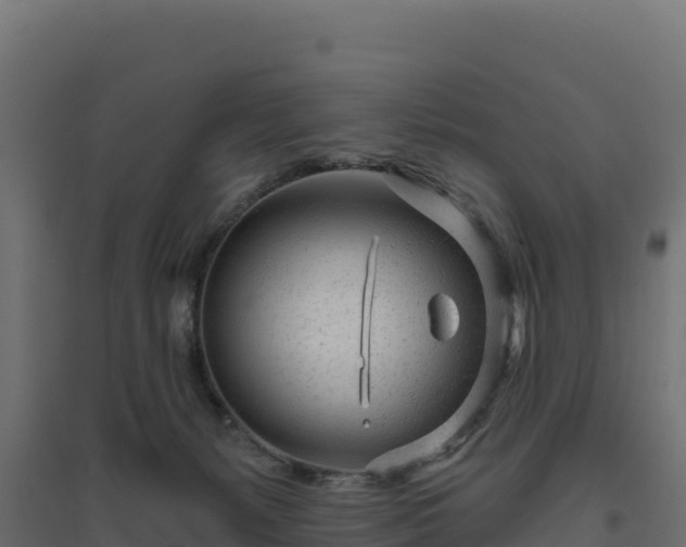 X0000094770127200711241325