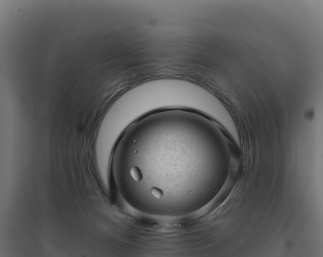 X0000094770128200711241325