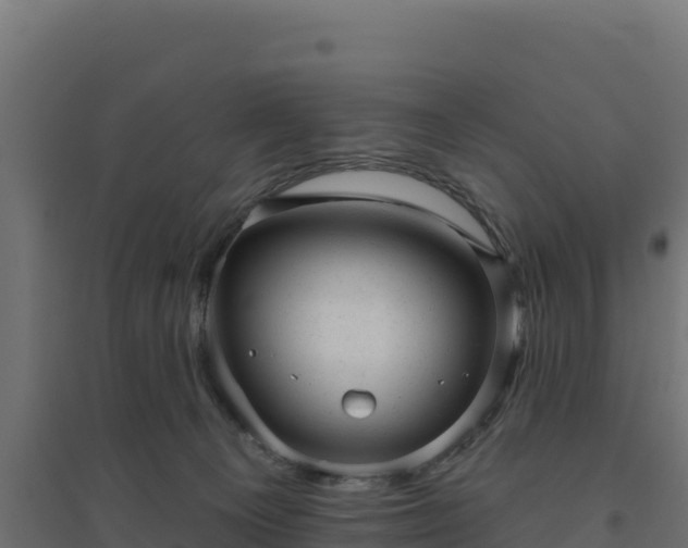 X0000094770129200711241325