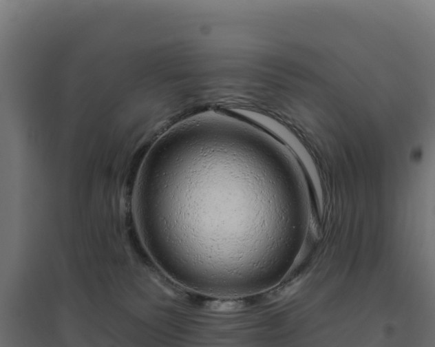 X0000094770135200711241325