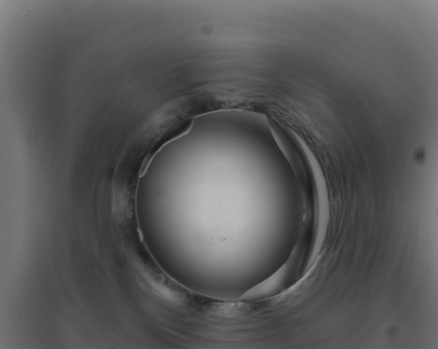 X0000094770136200711241325