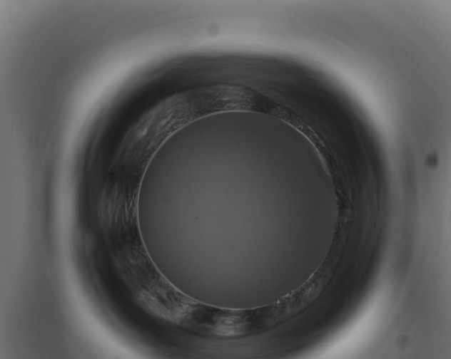 X0000094770143200711241325