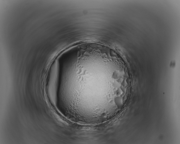 X0000094770145200711241324