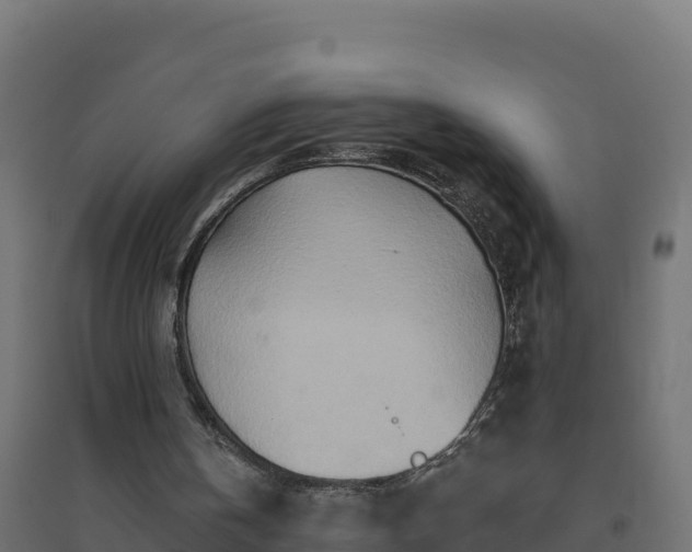 X0000094770146200711241324