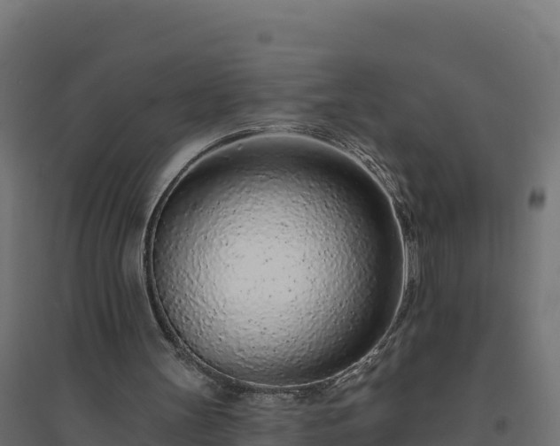 X0000094770147200711241324