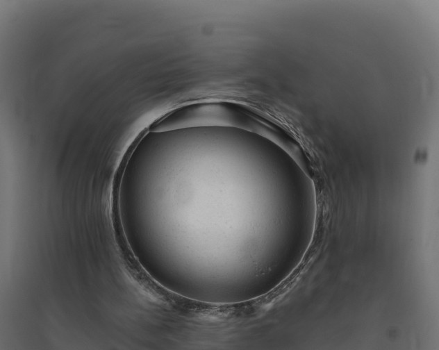 X0000094770148200711241324