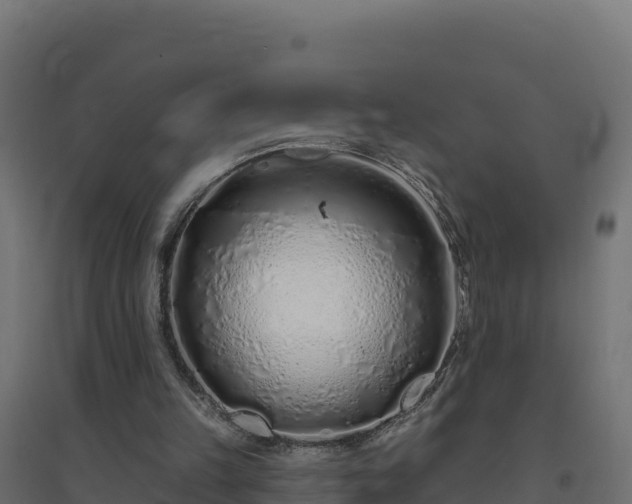 X0000094770149200711241324