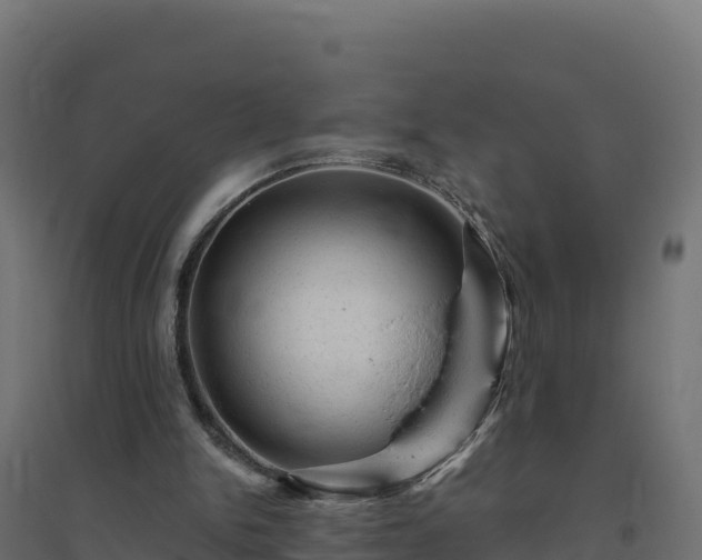 X0000094770150200711241324