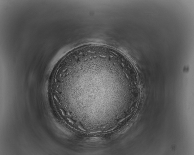 X0000094770151200711241324