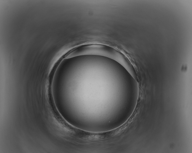 X0000094770152200711241324