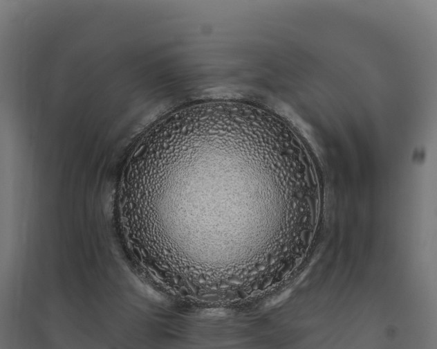 X0000094770153200711241324