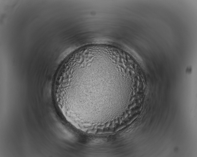 X0000094770155200711241325