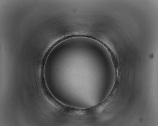 X0000094770156200711241325