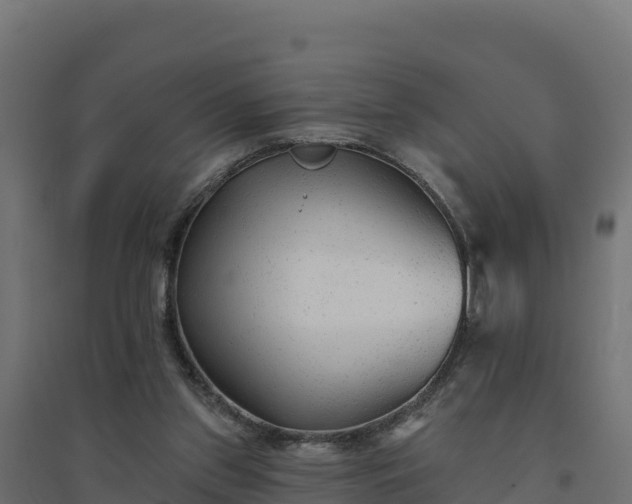 X0000094770157200711241325