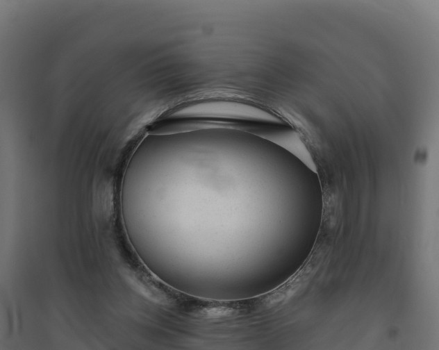 X0000094770158200711241325